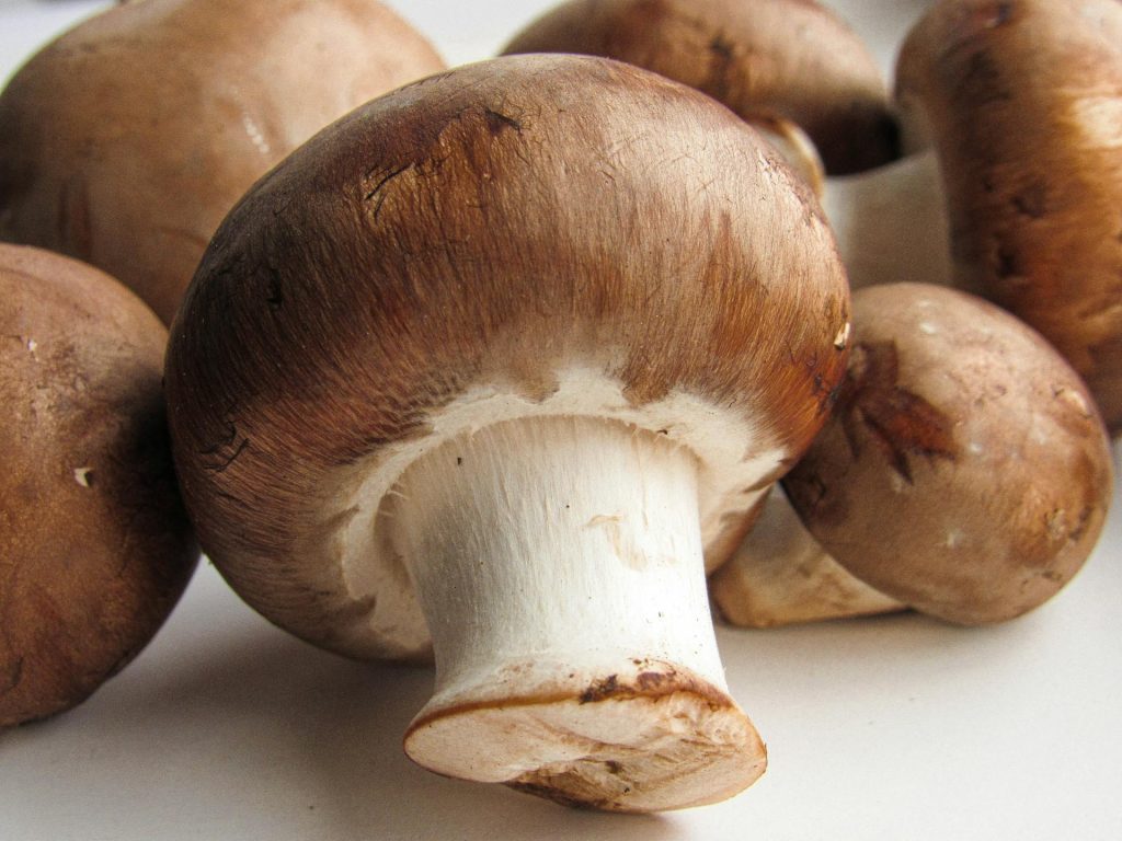 Fresh cremini mushrooms on a white surface, one turned upside down showing the stem and cap underside.